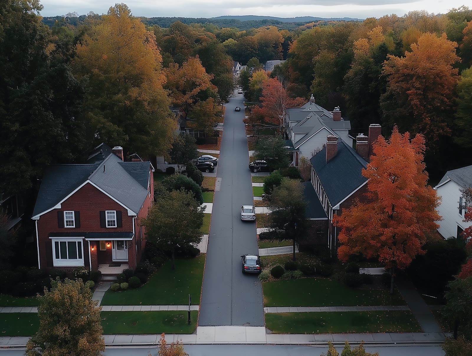 Tree-lined residential street