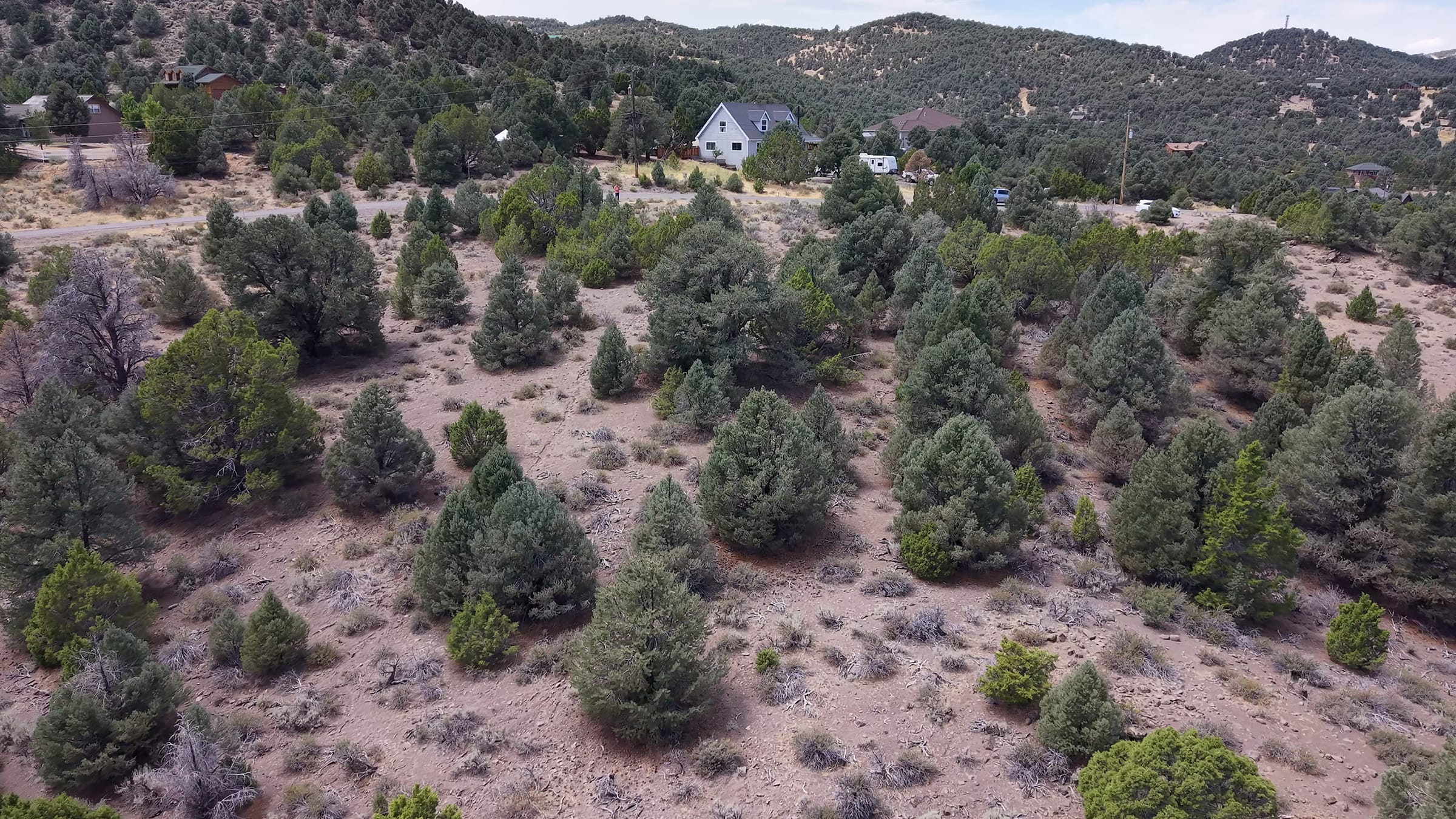 Aerial view of the wooded lot at 1761 Lousetown Road