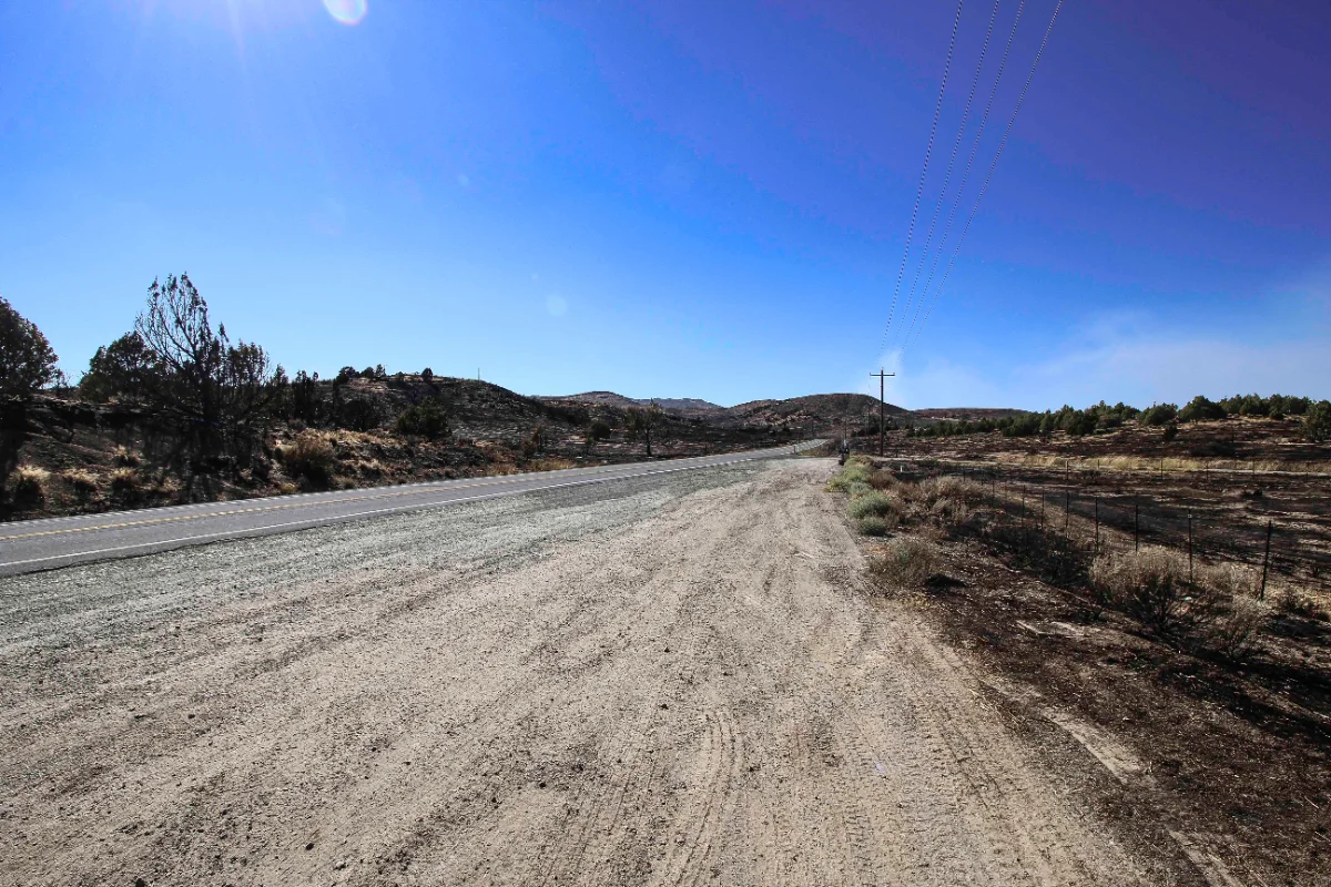 Roadside view of a wildfire-burned hillside